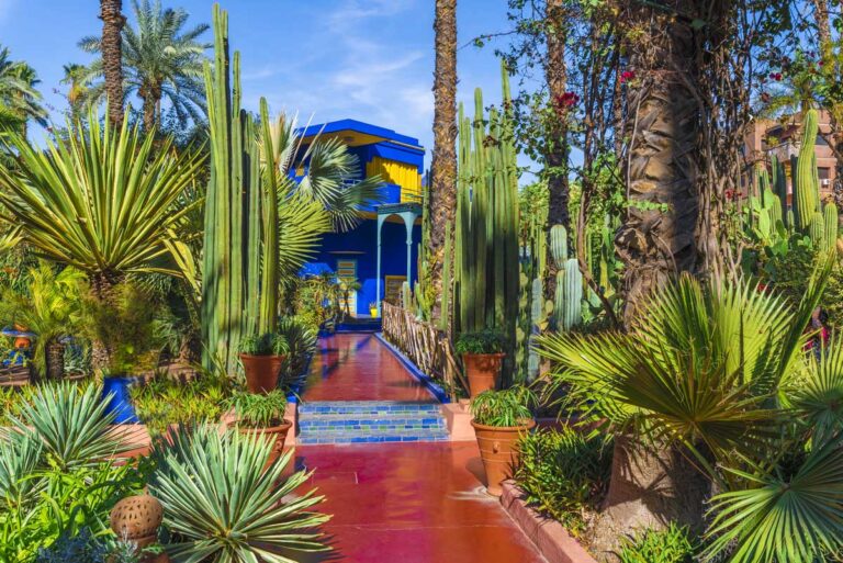 Jardin-Majorelle-Droit-Marque-768x513.jpg