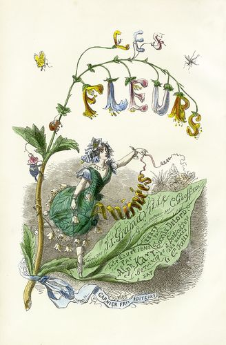 Grandville_Fleurs_Animées.jpg
