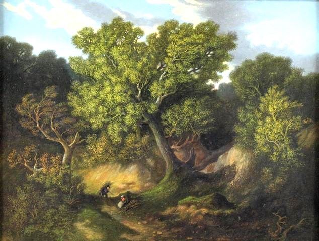 O_ROLLAND - Paysage animé.jpg