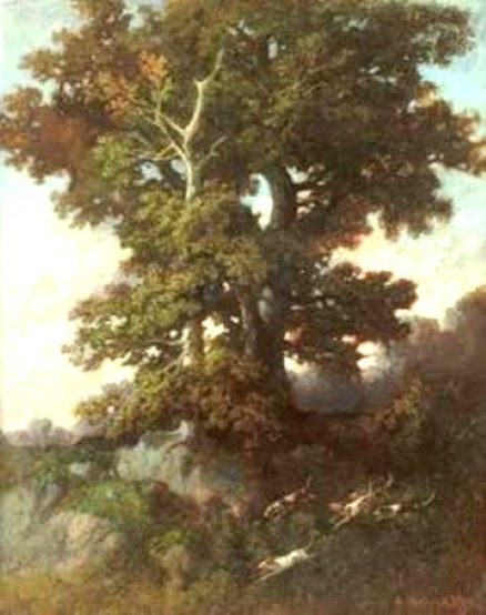 O_ROLLAND_Auguste_image009 (1).jpg