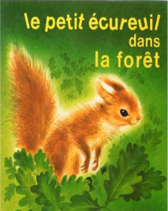 O_ROMAIN_SIMON - Le_petit_écureuil_dans_la_forêt_0.jpg