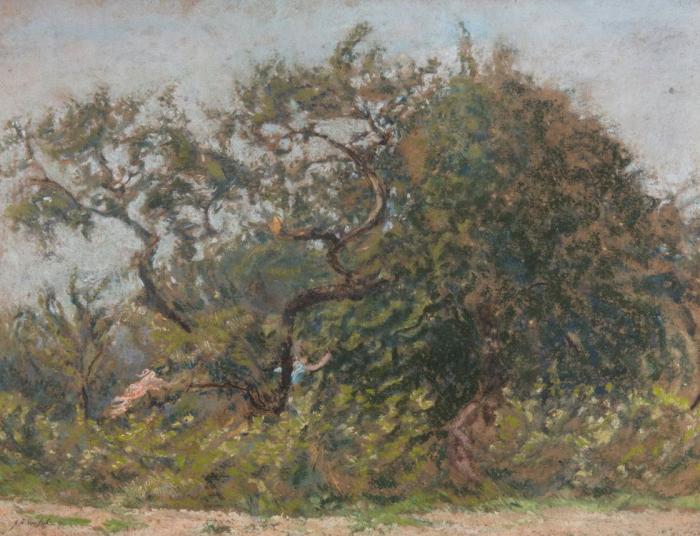 Ker-Xavier ROUSSEL       :    Le buisson