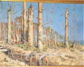 Marcel CORRETTE       :  "  La forêt vosgienne après les combats du Col de la Chipotte (aout-septembre 1914)"
